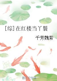 小说：[综]在红楼当丫鬟，作者：千芳魏紫