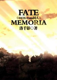 小说：FATE/Memoria（FATE同人），作者：洛千影