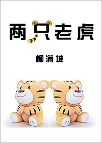 小说：两只老虎，作者：柳满坡